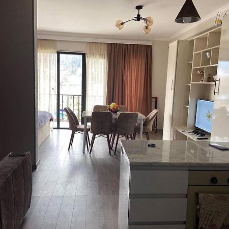 Vitali Apartment Borjomi ภายนอก รูปภาพ