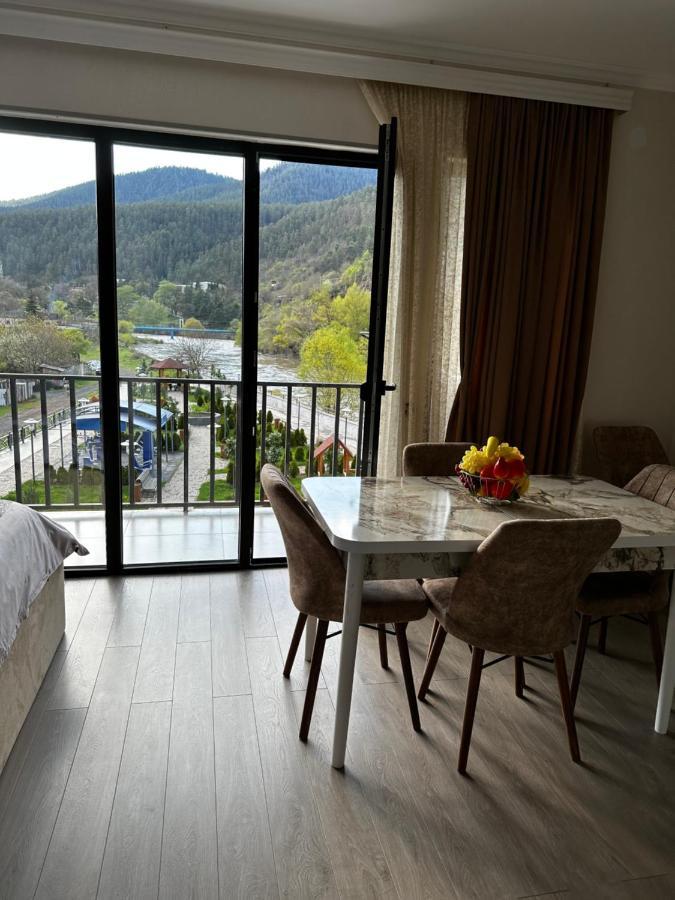 Vitali Apartment Borjomi ภายนอก รูปภาพ