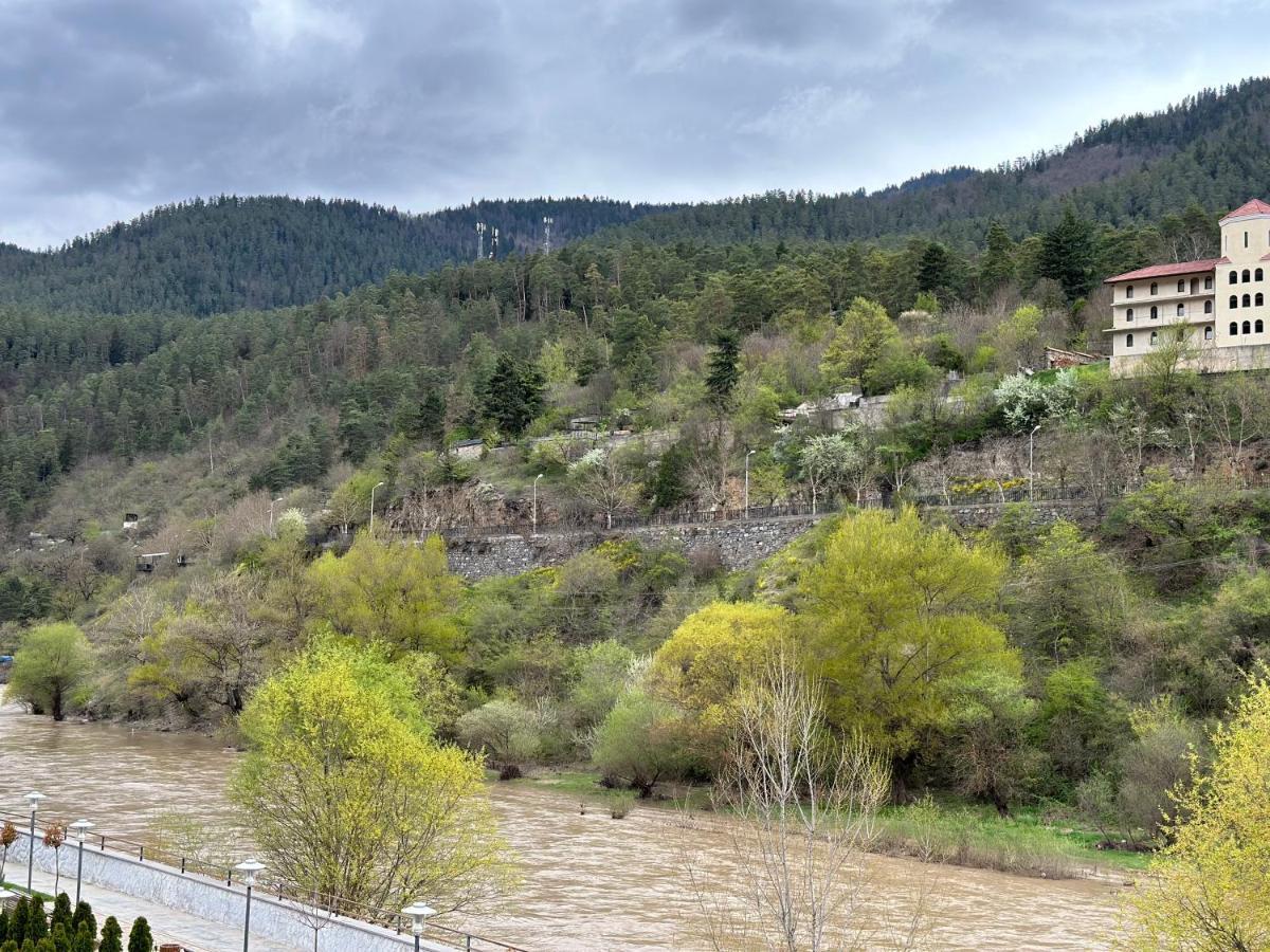 Vitali Apartment Borjomi ภายนอก รูปภาพ